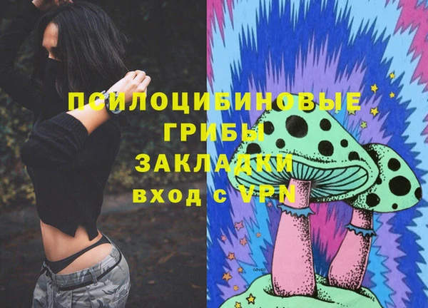 тгк Горняк