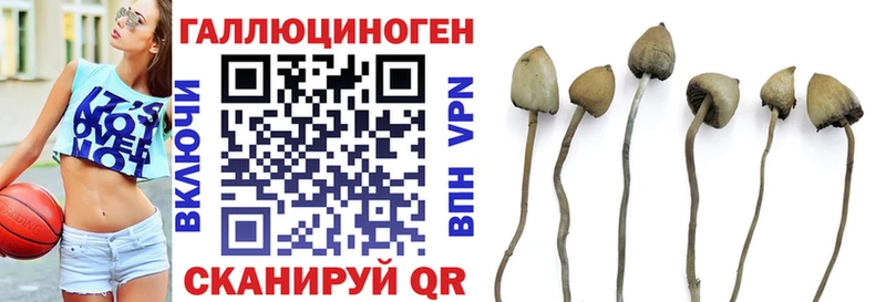 хочу Дятьково Галлюциногенные грибы ЛСД