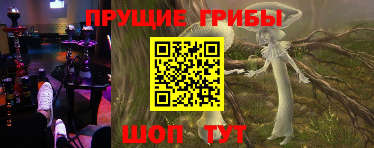 Дятьково  Псилоцибиновые грибы Magic Shrooms  Вход с VPN 